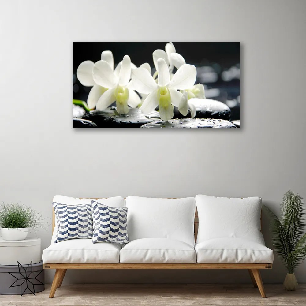 Obraz Canvas Kamienie Kwiaty Orchidea