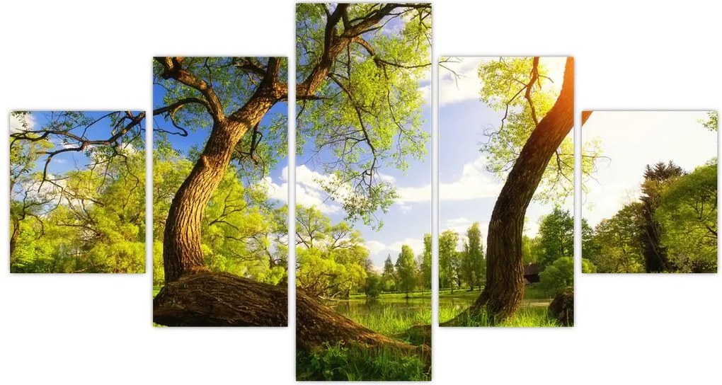 Obraz wiosennej łąki (125x70 cm)