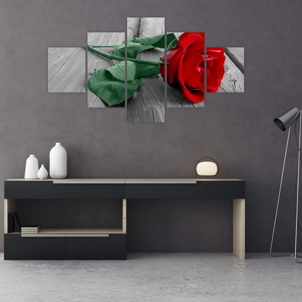 Obraz - Czerwona róża z zieloną łodygą (125x70 cm)