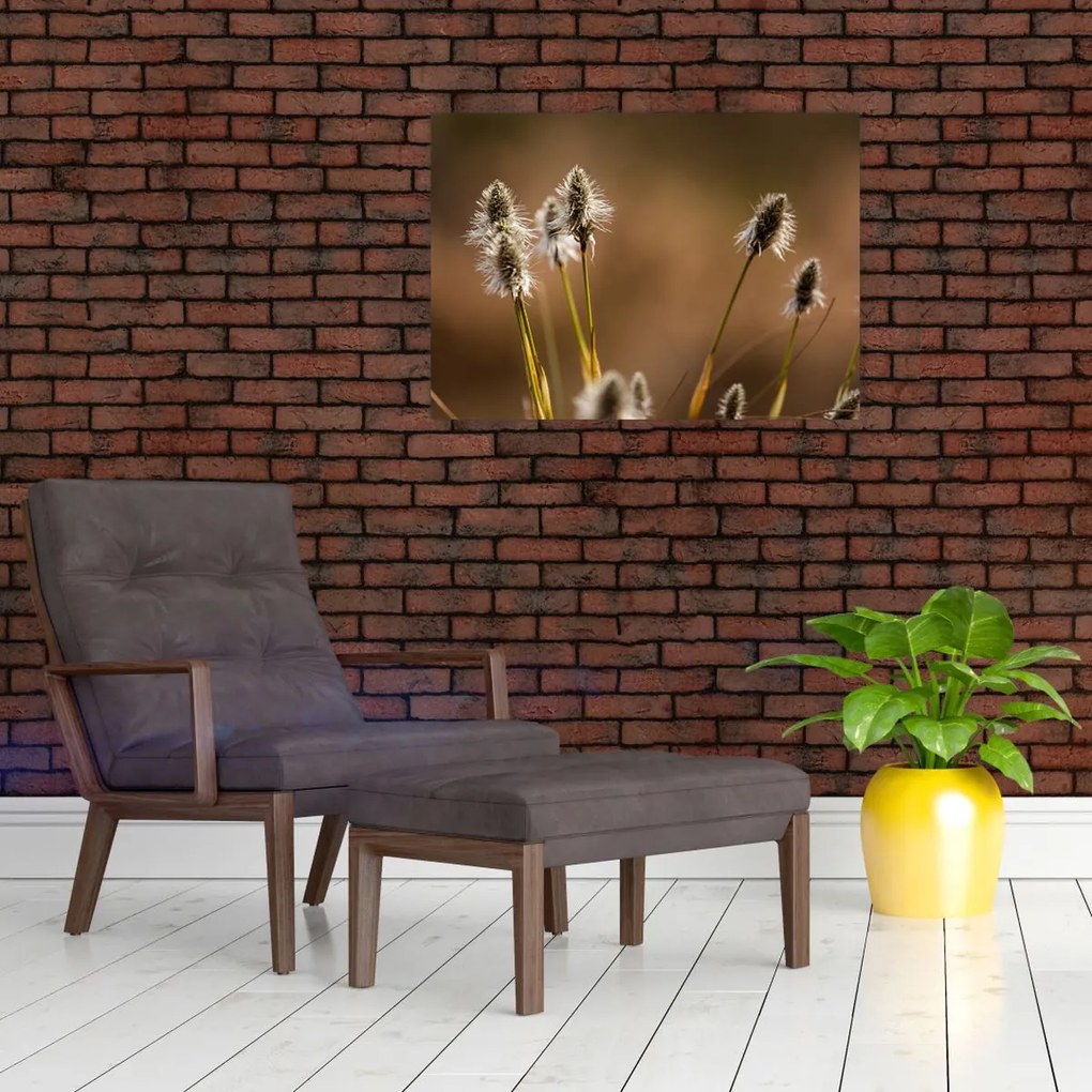 Obraz - Trawa (70x50 cm)