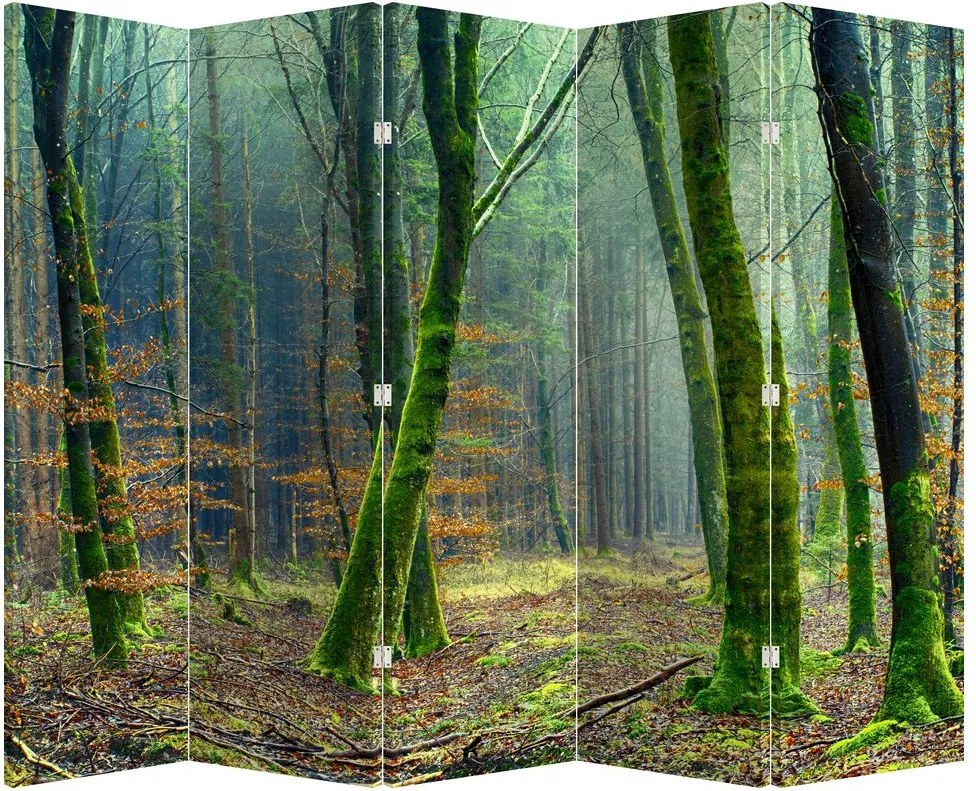 Parawan - Las (210x170 cm)