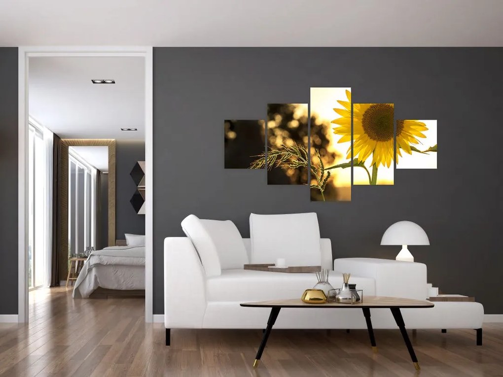 Obraz słonecznika (125x70 cm)