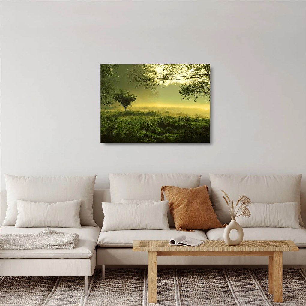 Obraz na szkle - Budzący się las (70x50 cm)