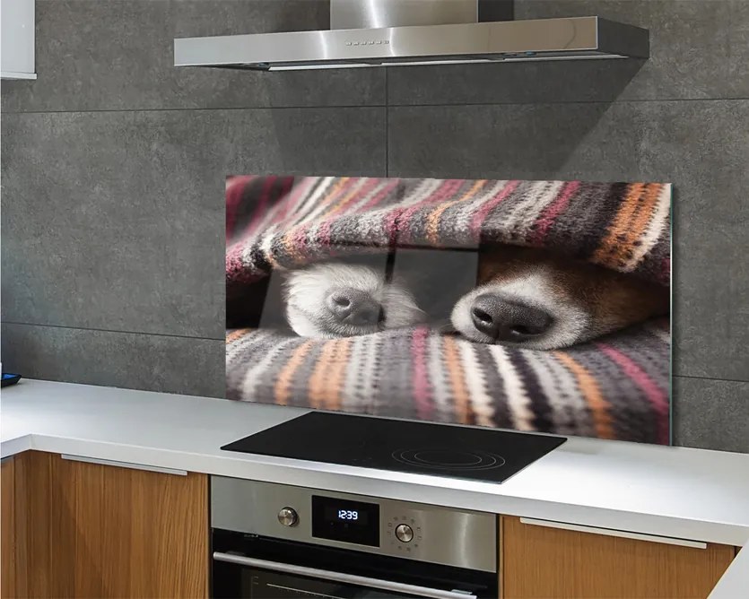 Panel Kuchenny Szklany Słodki Sen Zmęczonych Psów