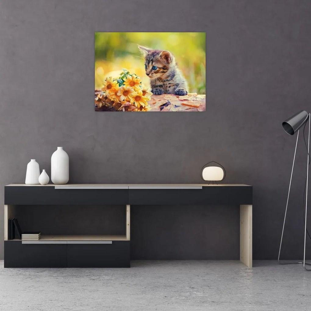 Obraz na szkle - kotek patrzący na kwiat (70x50 cm)