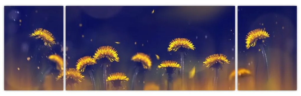 Obraz - Dmuchawce (170x50 cm)
