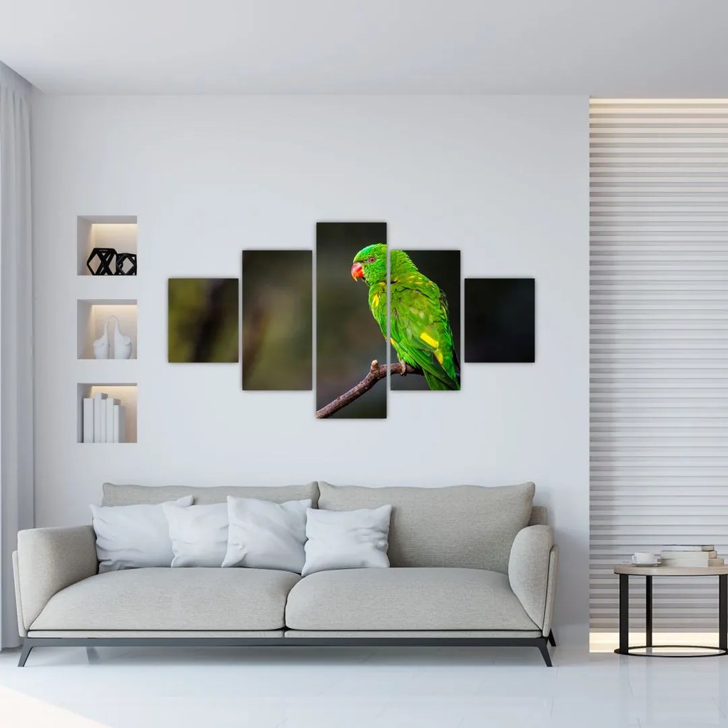 Obraz papugi na gałęzi (125x70 cm)