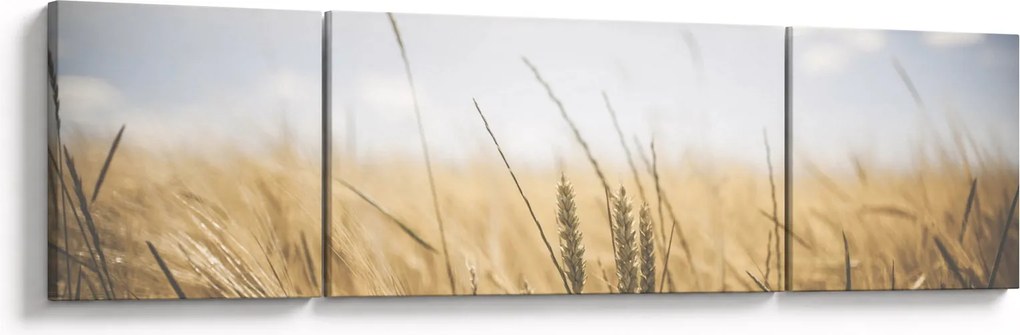 Obraz ziarna (170x50 cm)