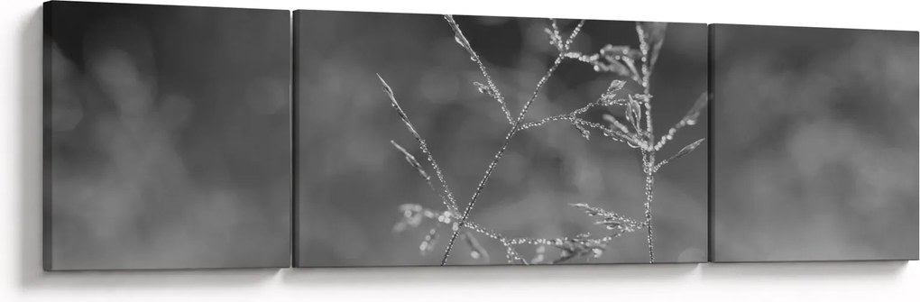 Obraz - Wiejska łąka (170x50 cm)