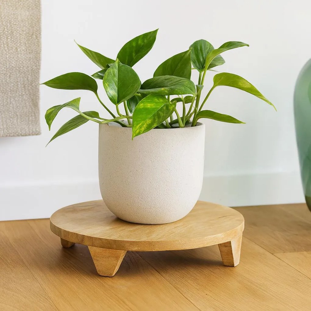 Drewniana podstawka pod kwiaty CON, drewno mango