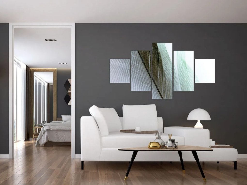 Obraz - Pióra, makro (125x70 cm)