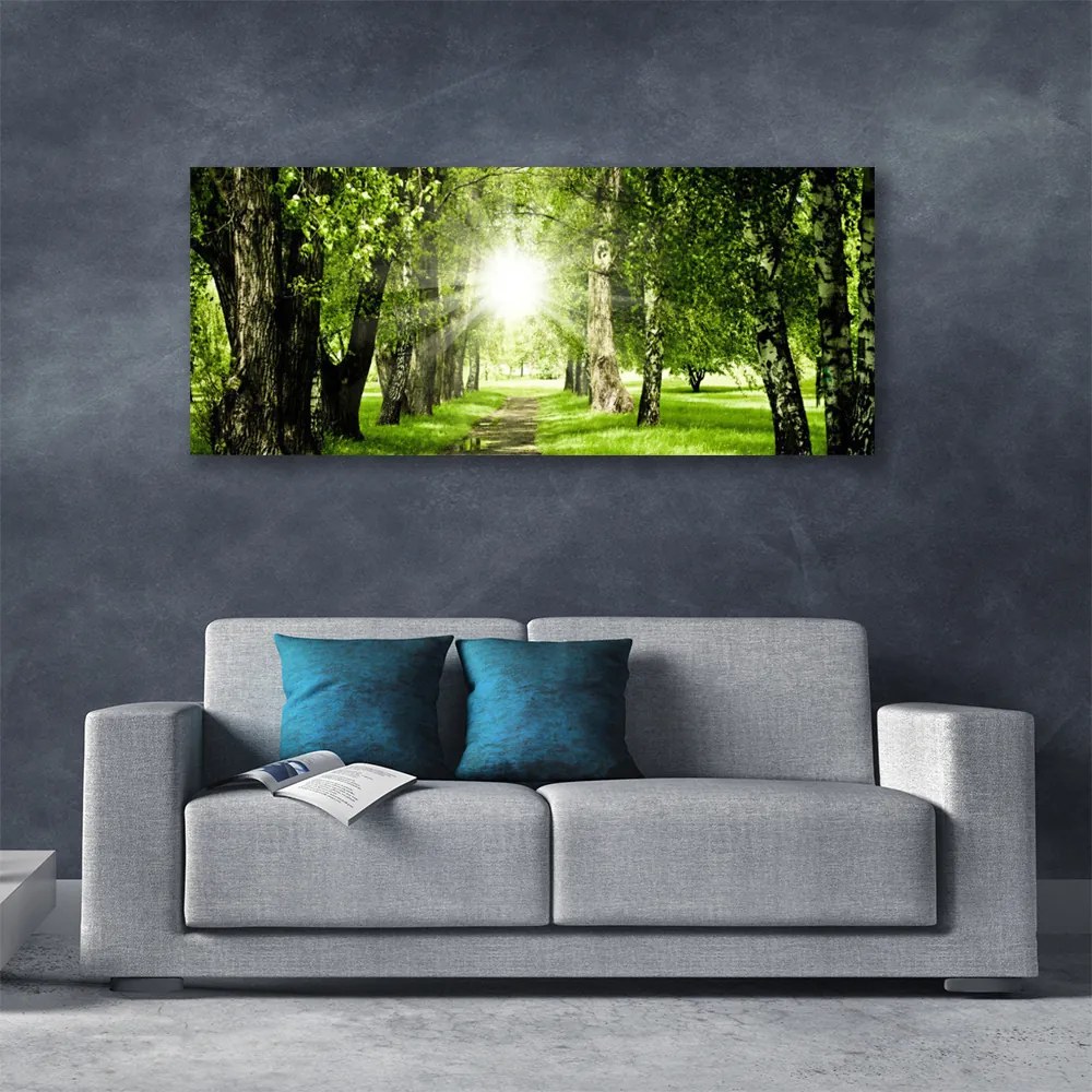 Obraz canvas Rozświetlona Ścieżka Leśna