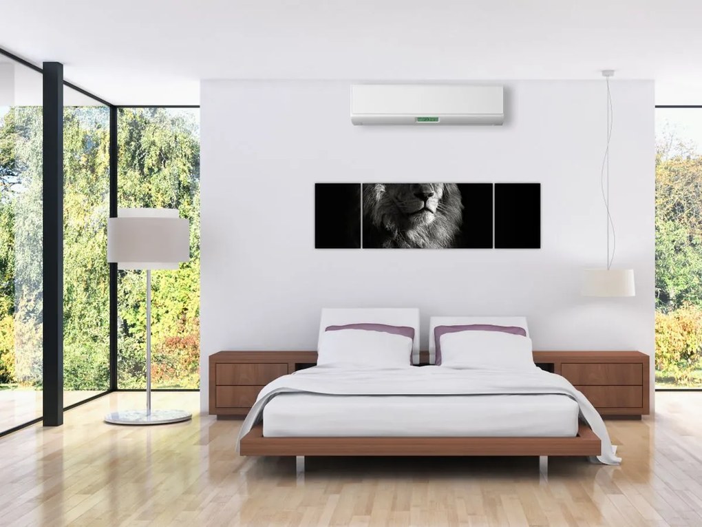 Obraz - Lew (170x50 cm)