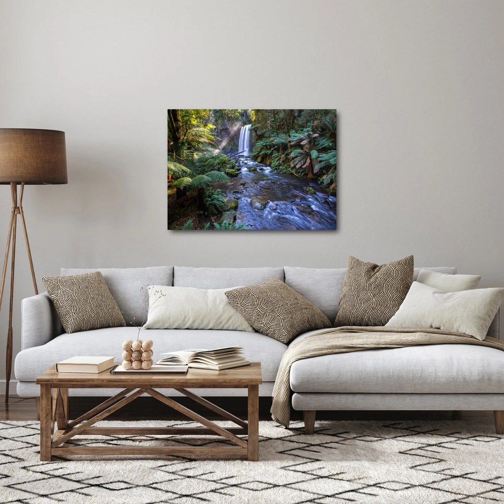 Obraz australijskiego lasu deszczowego (70x50 cm)