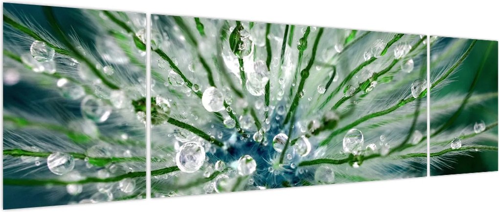 Obraz - Makro zdjęcie kwiatu (170x50 cm)