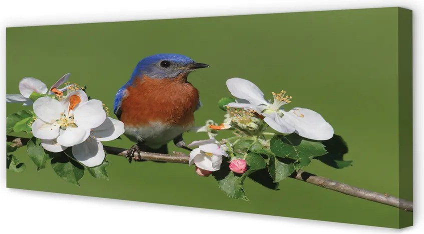 Duży obraz na płótnie Papuga wśród Kwiatów