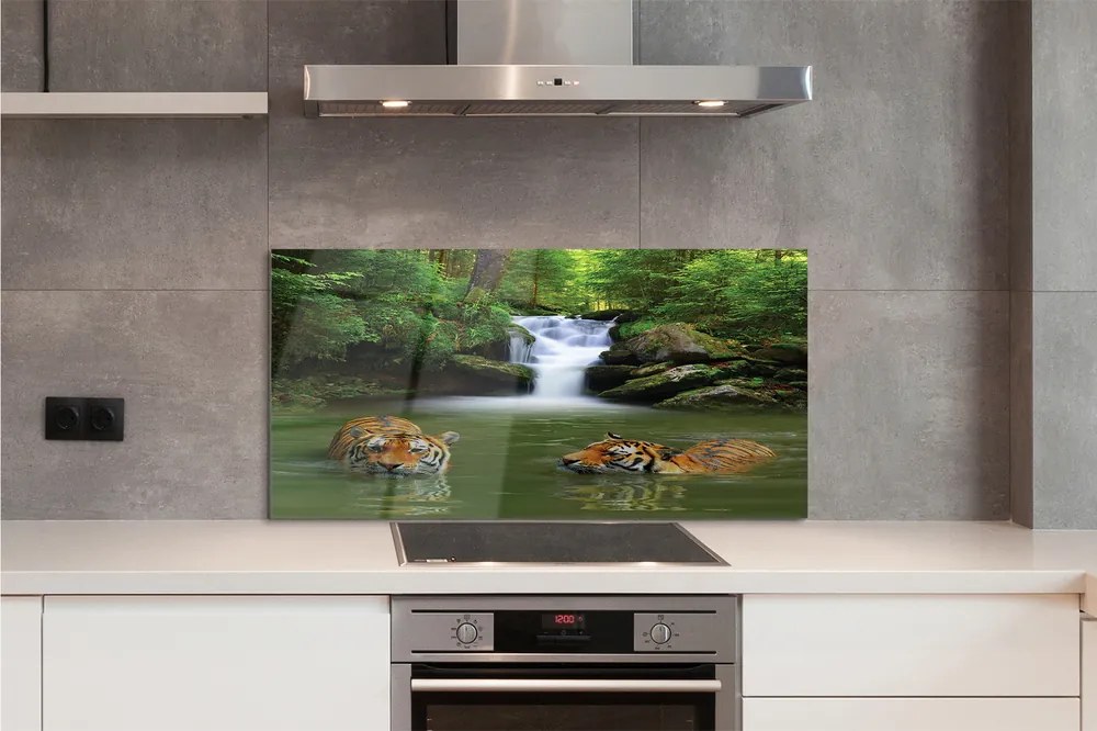 Szklany Panel Tygrysy przy Wodospadzie