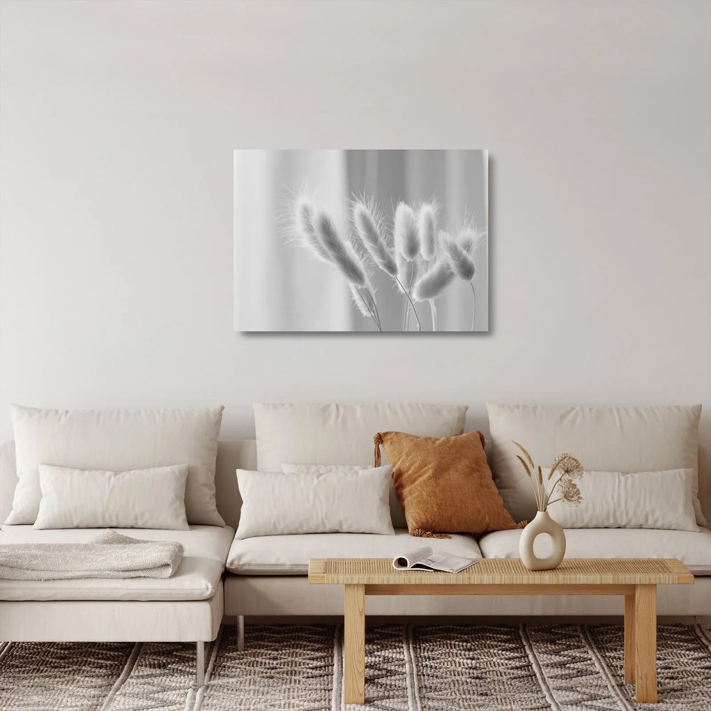 Obraz na szkle - Trawa z króliczym ogonkiem (70x50 cm)