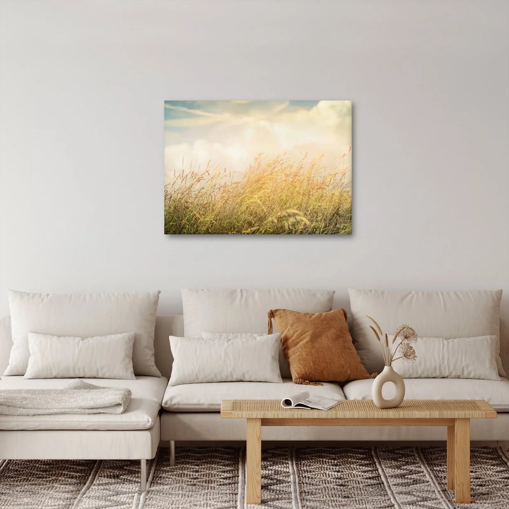Obraz - Pole jesienią (70x50 cm)
