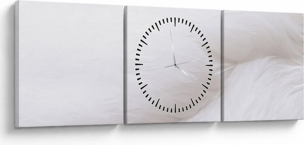 Obraz - Białe pióro (z zegarem) (90x30 cm)