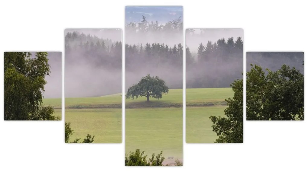 Obraz łąki z drzewem (125x70 cm)