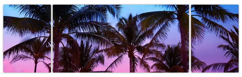 Obraz - Palmy w Miami (170x50 cm)