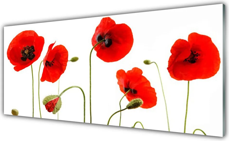 Szkło Dekoracyjne do Kuchni Maki W Letnim Słońcu