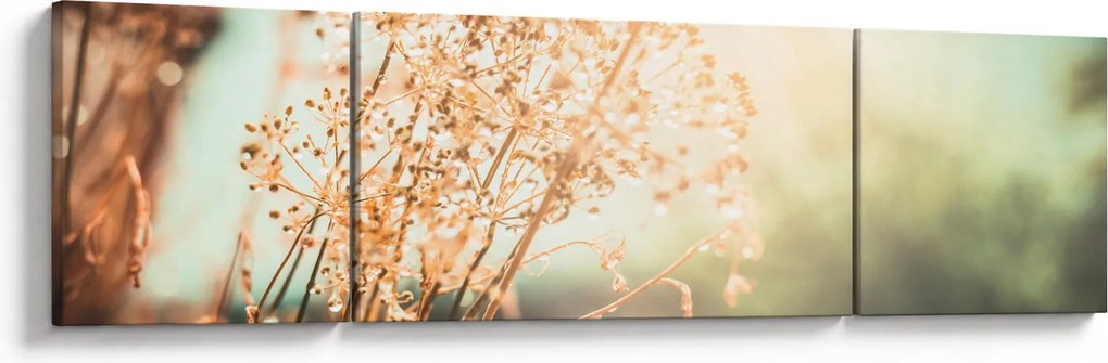 Obraz - Rośliny po deszczu (170x50 cm)