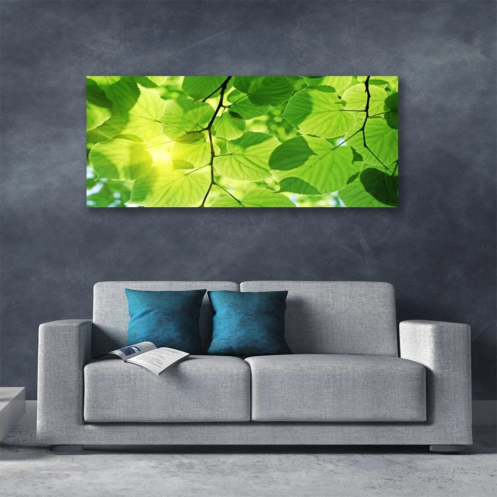 Obraz canvas Botaniczne Liście Paproci