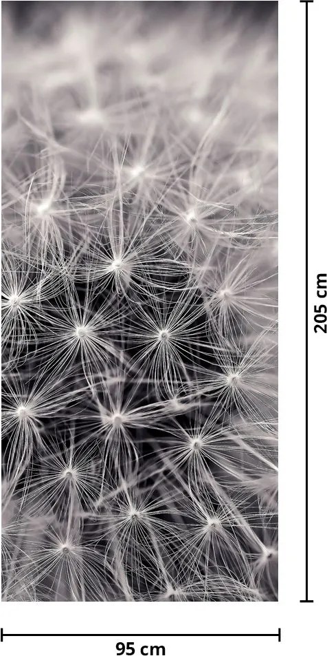 Fototapeta na drzwi - Dmuchawiec (95x205cm)