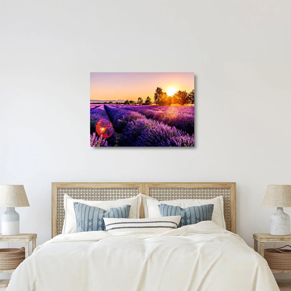 Obraz na szkle - lawendowe pole (70x50 cm)