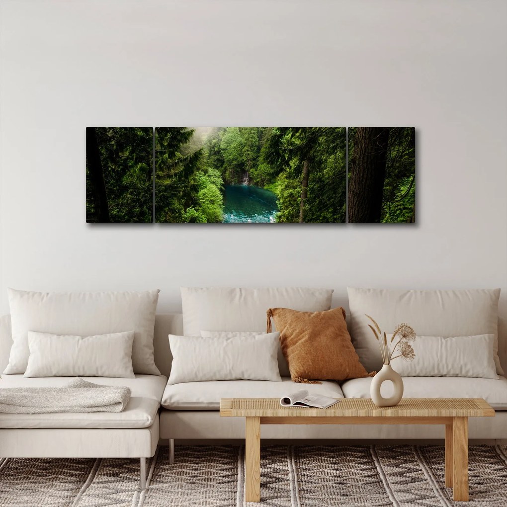 Obraz - Przestrzeń między drzewami (170x50 cm)
