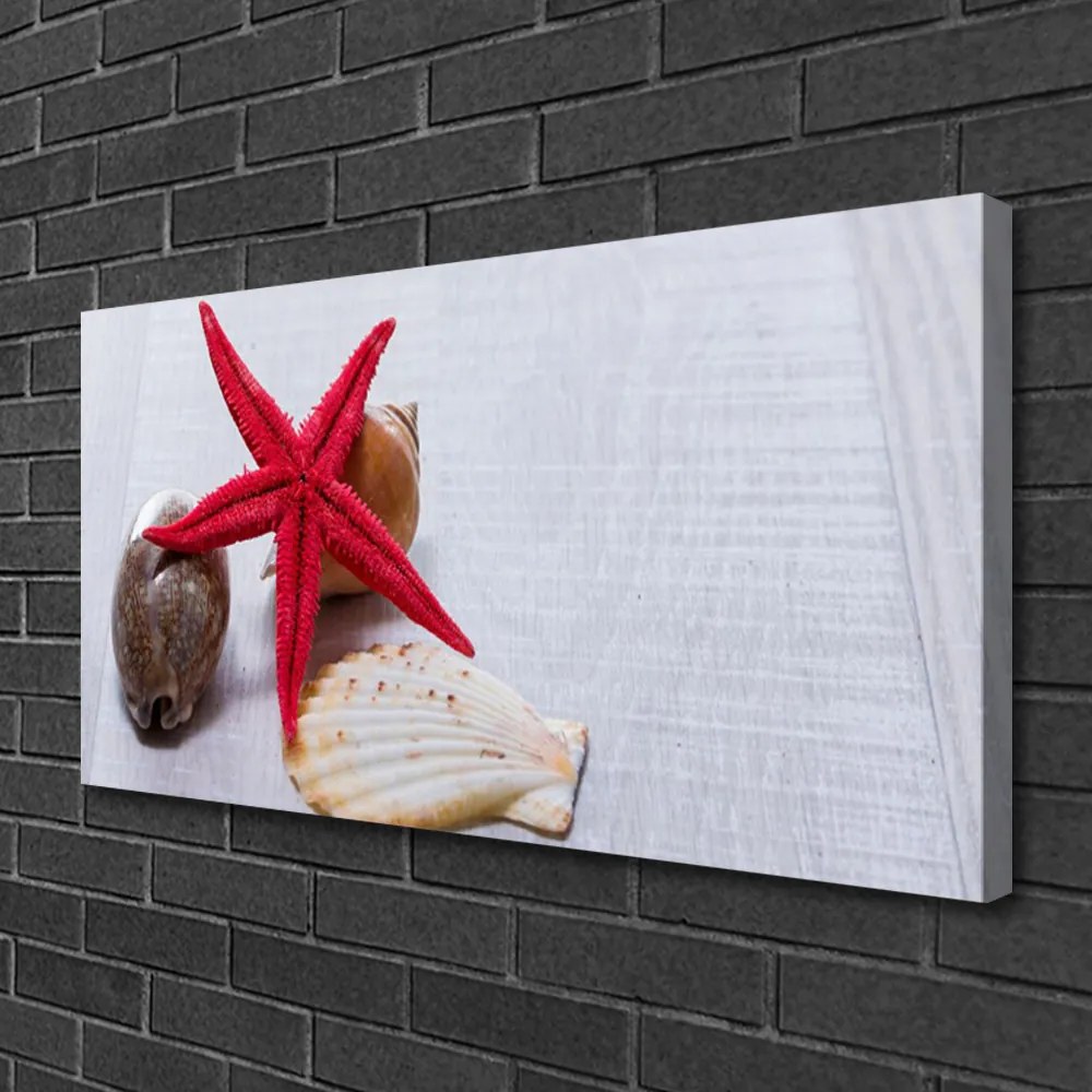 Obraz canvas Oceaniczne Skarby na Piasku