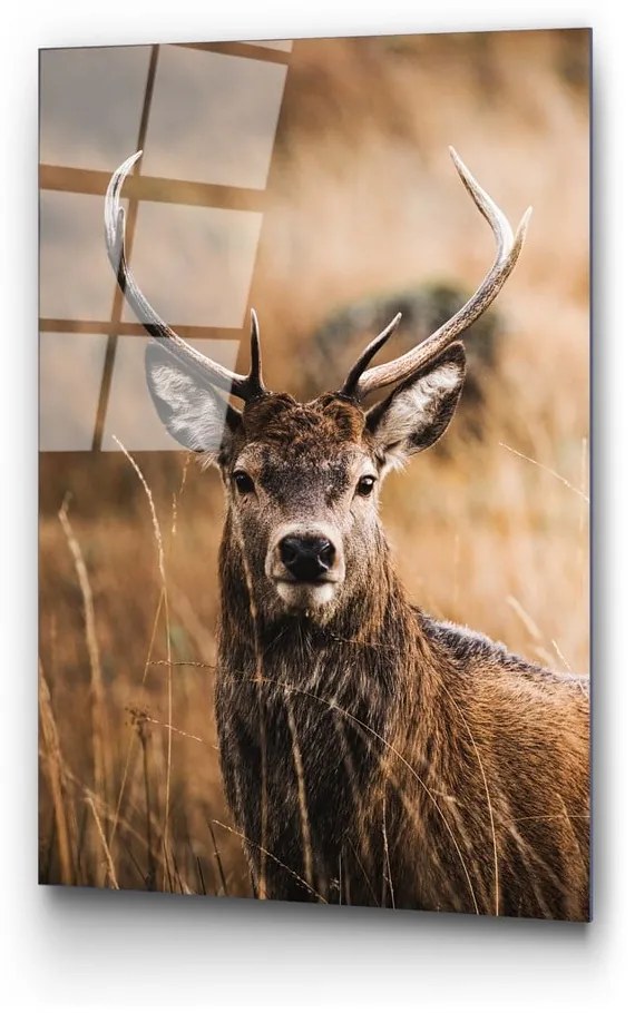 Szklany obraz 70x100 cm Deer – Wallity