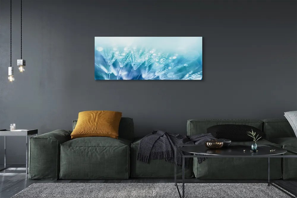 Obraz na płótnie Artystyczna Wizja Dmuchawca