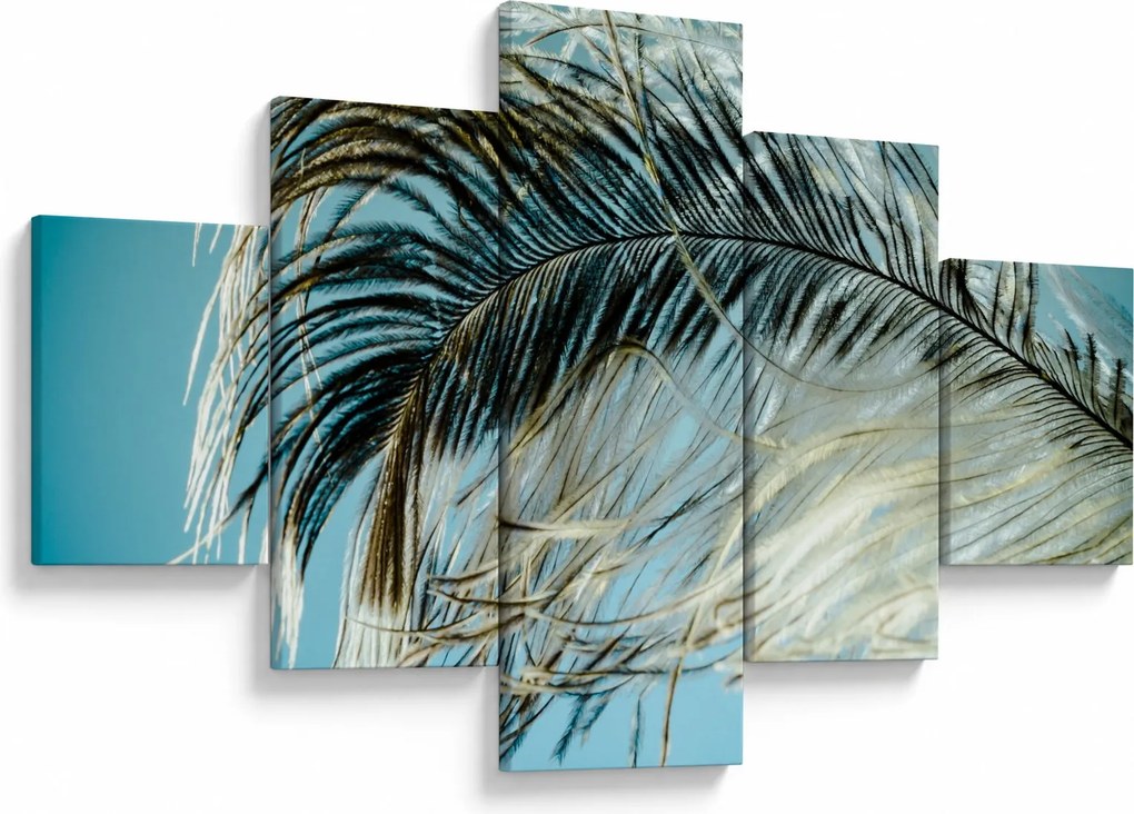 Obraz pióra (125x70 cm)