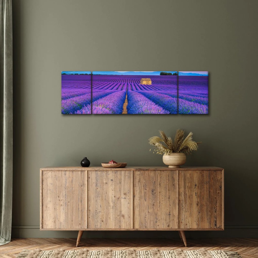 Obraz - Lewndowe pole (170x50 cm)