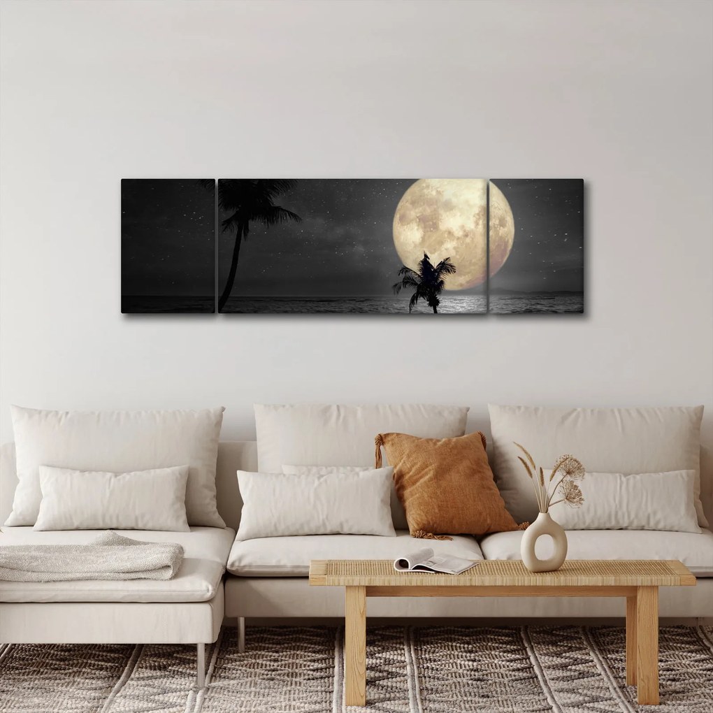 Obraz - Plaża pod pełnią księżyca w odcieniach szarości (170x50 cm)