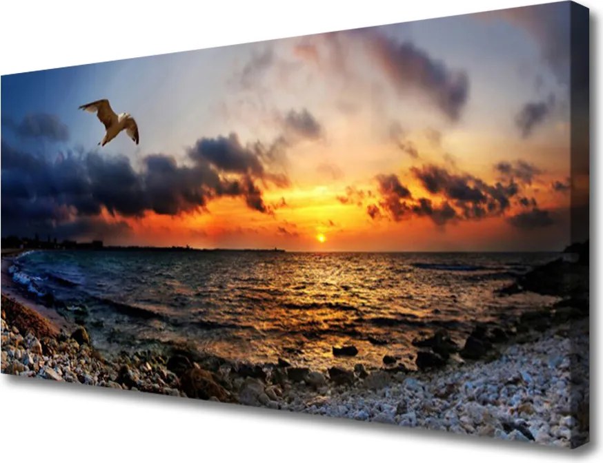 Zdjęcie na płótnie Mewa nad Brzegiem Oceanu