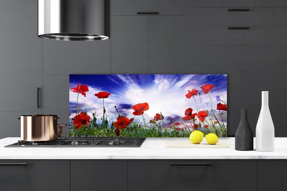 Szkło Ozdobne do Kuchni Czerwone Maki w Polu