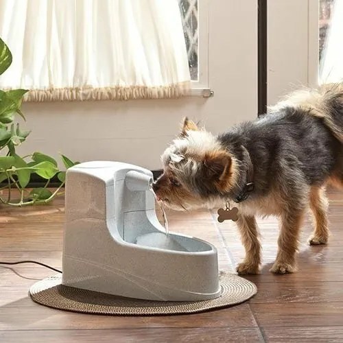 PetSafe® Mini Fontanna 1,2 l
