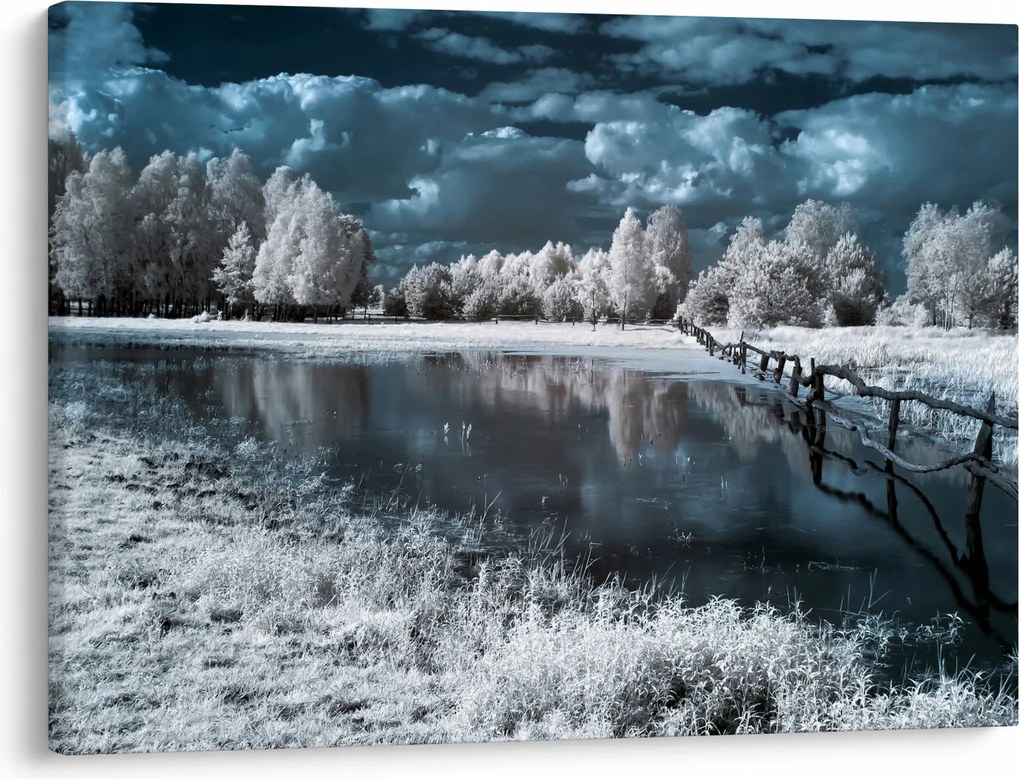 Obraz - Zamarznięty krajobraz (70x50 cm)
