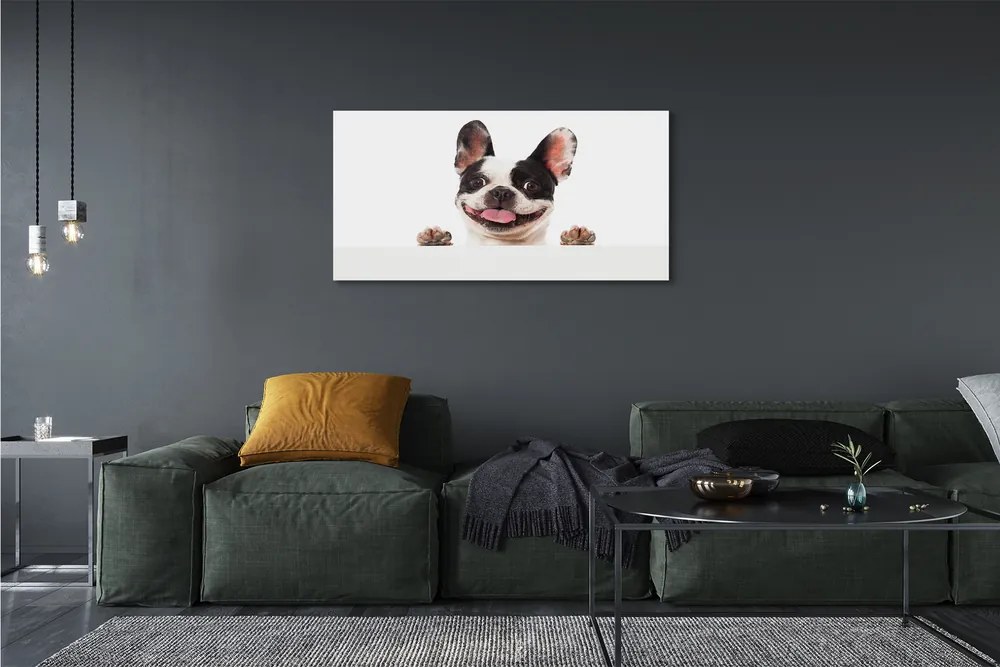 Obraz drukowany na płótnie Portret Psa