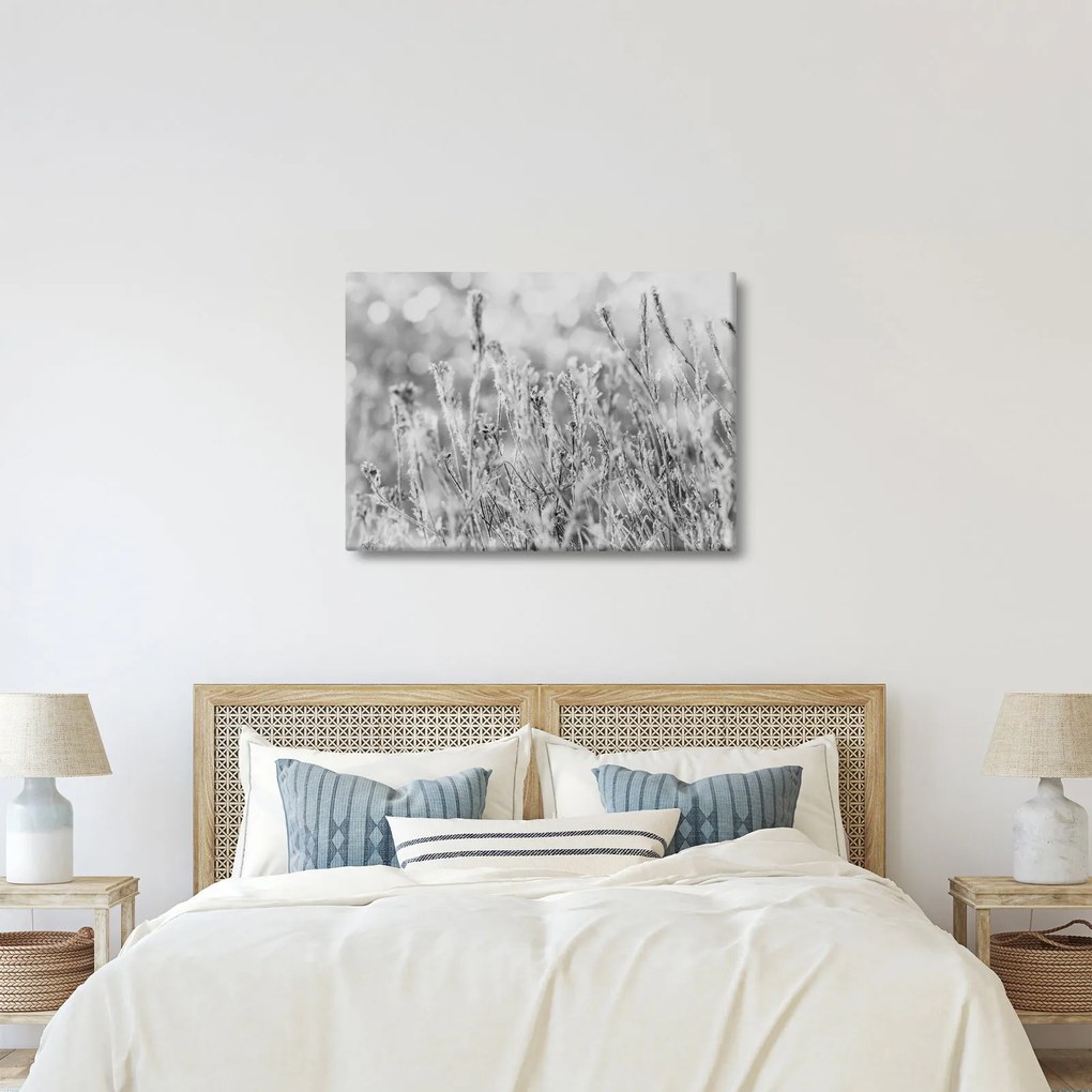 Obraz - Mroźna zima (70x50 cm)