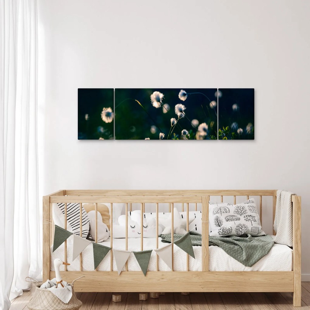 Obraz - Trawa (170x50 cm)