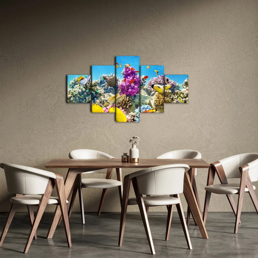 Obraz - Morski świat (125x70 cm)