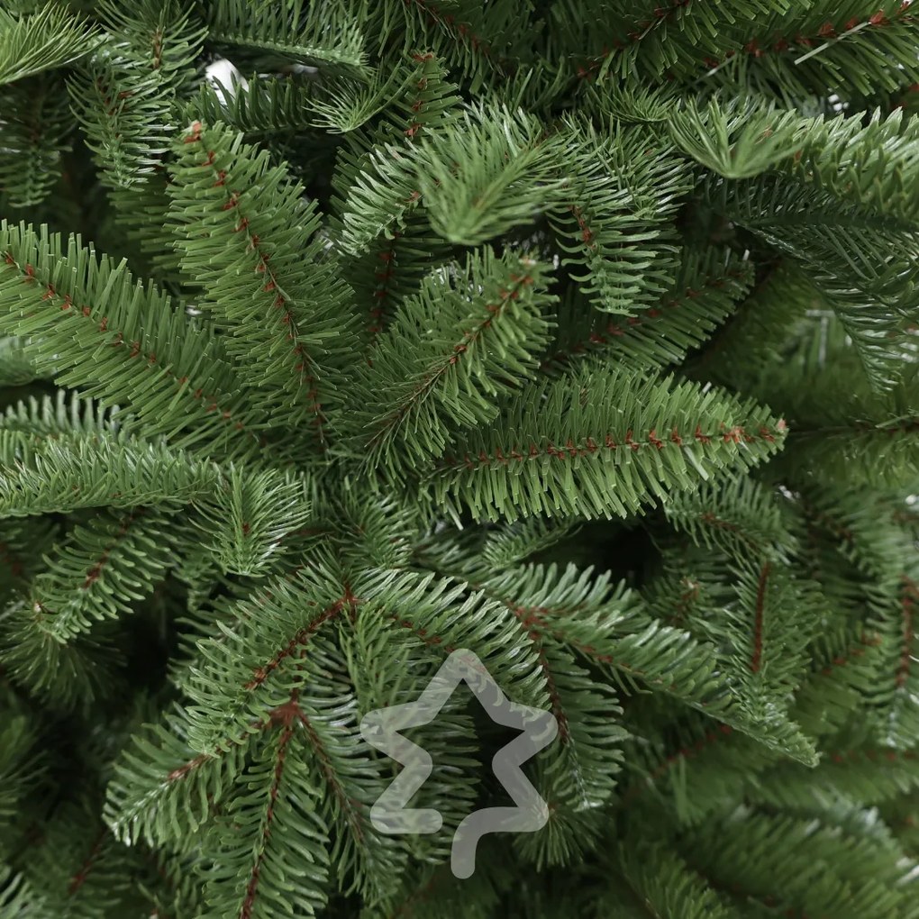 Jodła normandzka ekstra gęsta 180 cm