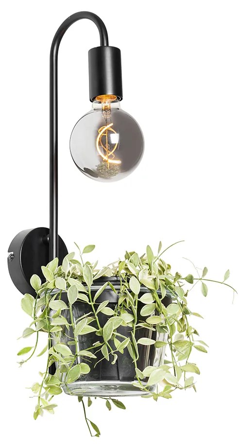 Nowoczesna lampa ścienna czarna ze szkłem - Roslini