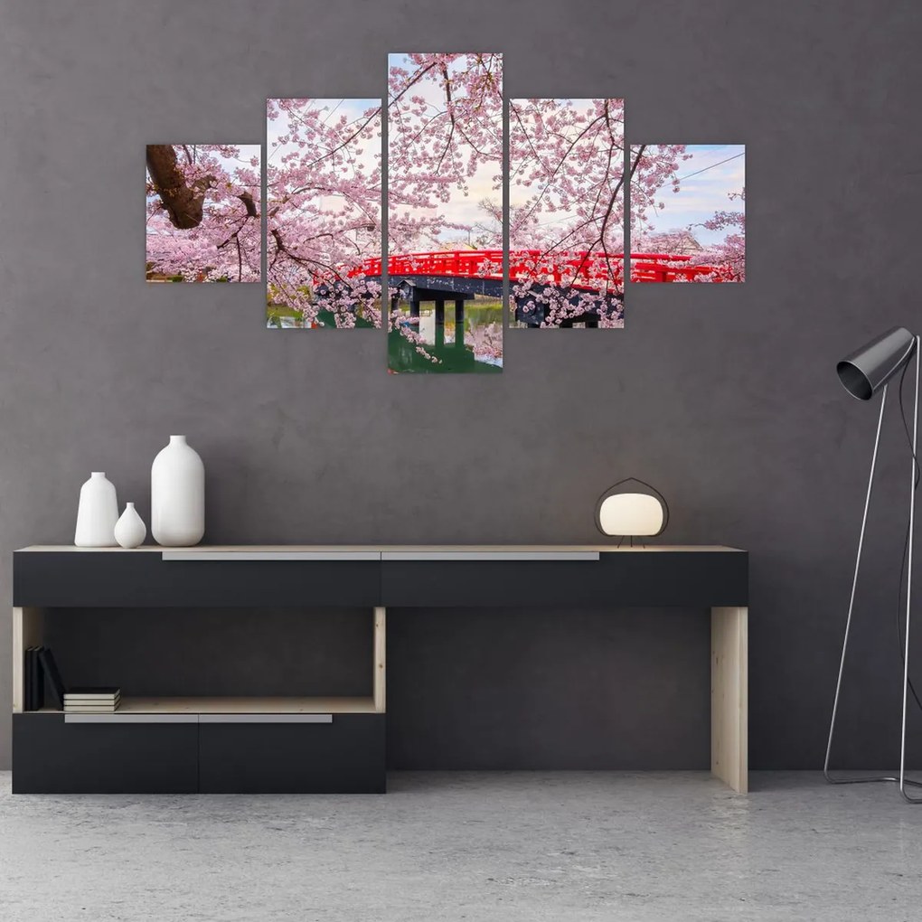 Obraz - Hirosaki, Japonia (125x70 cm)