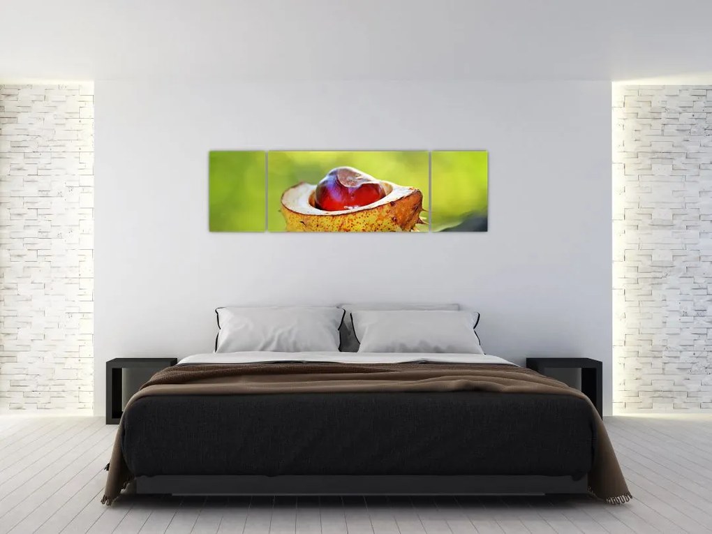 Obraz kasztanowów (170x50 cm)